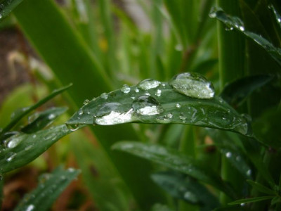 05.07.2007.1.JPG