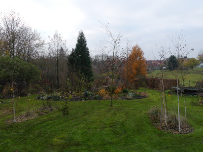 2019-11-23 Birkenhain 2.jpg
