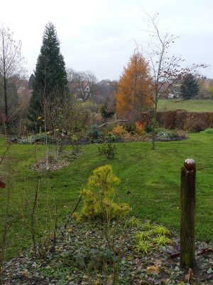 2019-11-23 Birkenhain 3.jpg