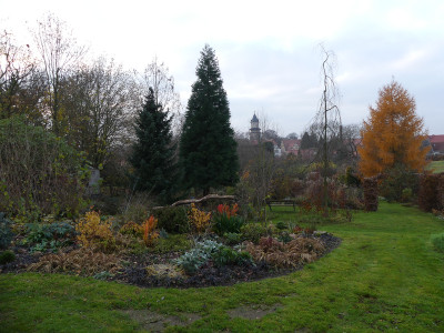2019-11-23 Birkenhain 6.jpg