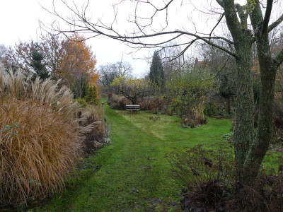 2019-11-23 Garteneiblick 3.jpg