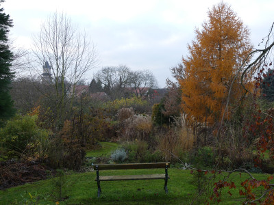 2019-11-23 Garteneinblick 6.jpg