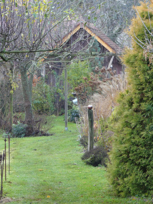 2019-11-23 Garteneinblick 7.jpg