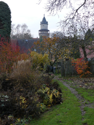 2019-11-23 Garteneinblick 10.jpg