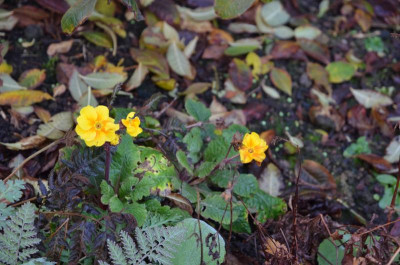 DSC_1694.JPG