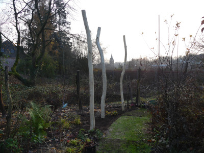 2019-11-24 Pergola 1.jpg