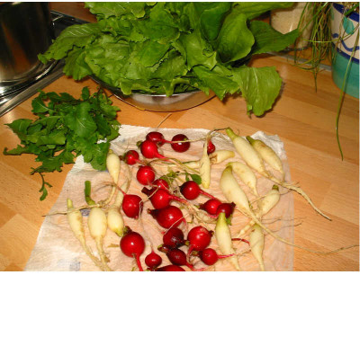 Ernte_20.11.07.jpg
