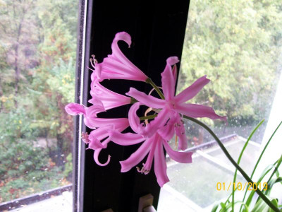 100_7139.JPG