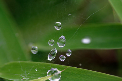 DPP_0007.jpg