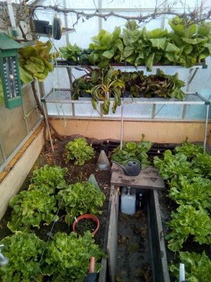 Gartenarbeit vom 28.11.19.jpg