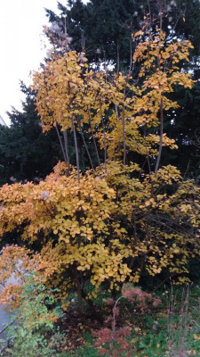 20191129_152147.jpg