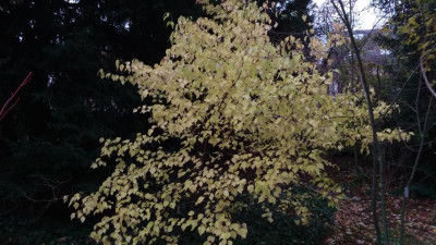 20191129_151906.jpg