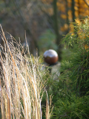 2019-11-30 Gartenimpressionen 8.jpg