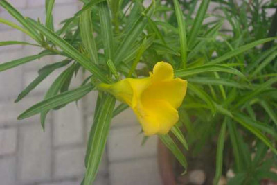 k-000_0001.JPG