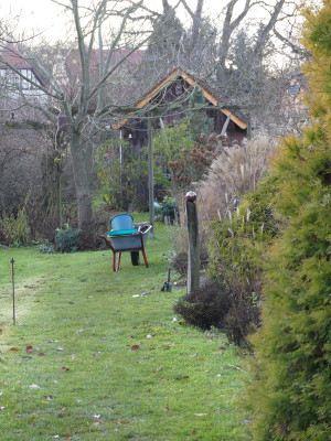 2019-11-30 Garteneinblick 11.jpg