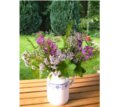 Wildblumenstrauss_06.07.07.jpg