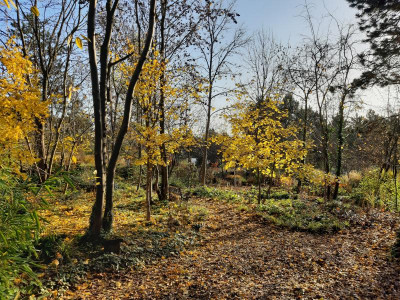 20191130_103243.jpg