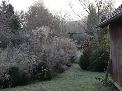 2019-12-01 Gartenimpressionen 1.jpg