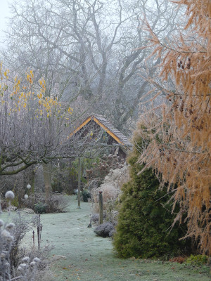 2019-12-01 Gartenimpressionen 2.jpg