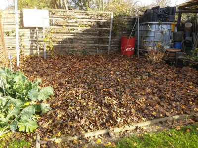 Tomatenbeet Ahornlaub.jpg