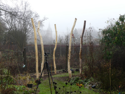 2019-12-01 Pergola 1.jpg