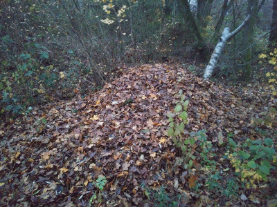 Laubhaufen.jpg