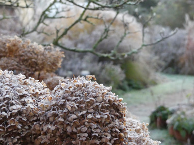 2019-12-01 Gartenimpressionen 5.jpg