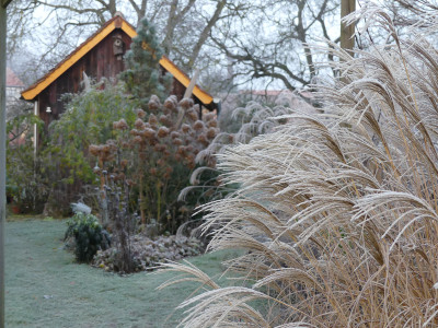 2019-12-01 Gartenimpressionen 13.jpg