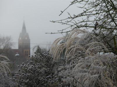 2019-12-01 Gartenimpressionen 14.jpg