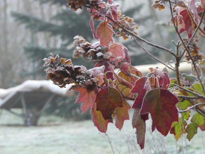 2019-12-01 Gartenimpressionen 19.jpg