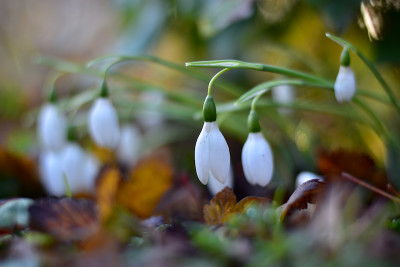 B19_0133.jpg