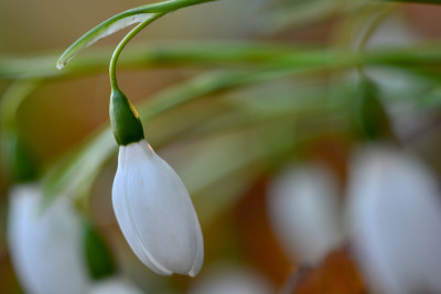 DSC_1910.jpg