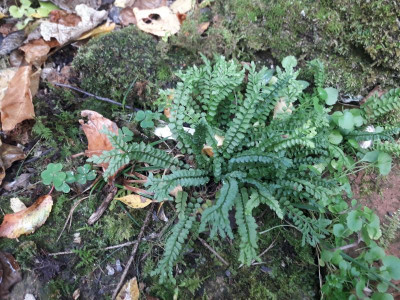20191025_153346.jpg