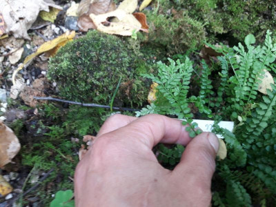 20191025_153424.jpg