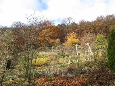 Garten Aufblick 20191202.jpg