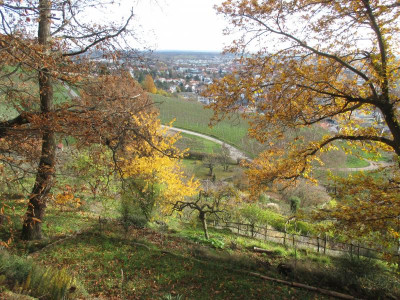 Garten Ausblick 20191202_03.jpg