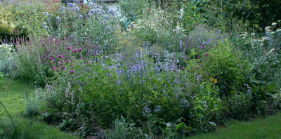 garten-080707.jpg