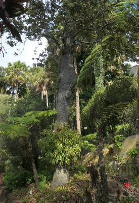 Botanico_3.jpg