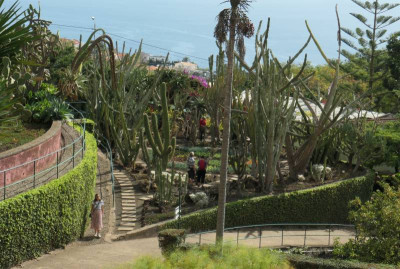 Botanico_4.jpg