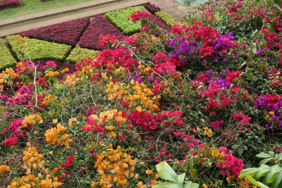 Botanico_1.jpg