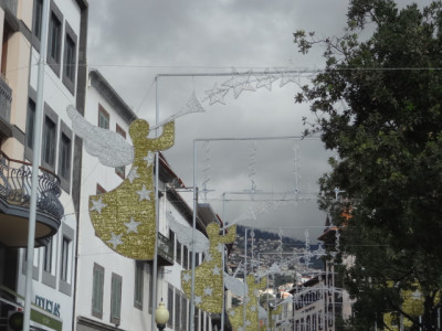 Weihn.bild.JPG