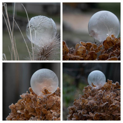 IMG_8006-COLLAGE.jpg
