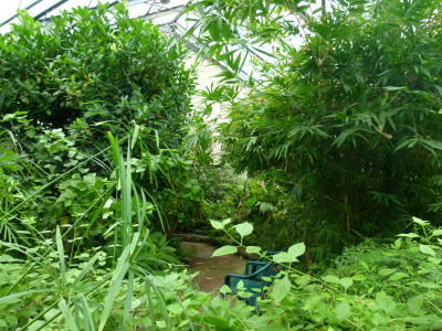 P1160540.JPG