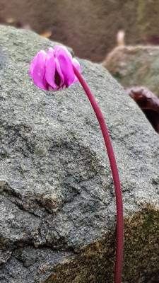 20191211_143542.jpg