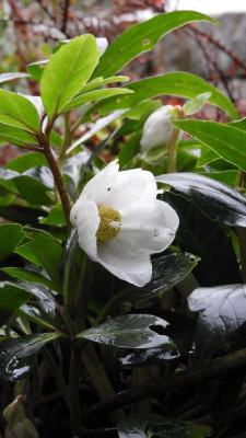 DSCN4920.JPG