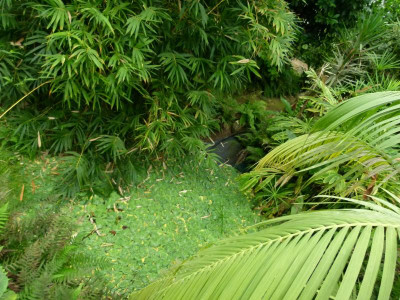 P1160543.JPG
