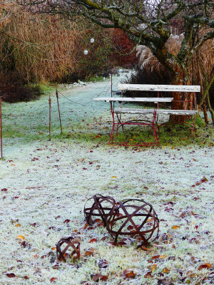 2019-12-13 Garteneinblick 1.jpg