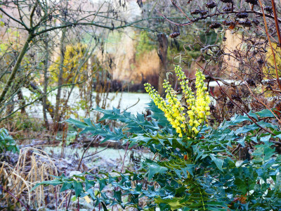 2019-12-13 Gartenimpressionen 1.jpg
