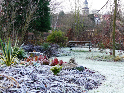 2019-12-13 Birkenhain 2.jpg