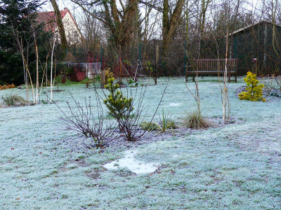 2019-12-13 Birkenhain 1.jpg